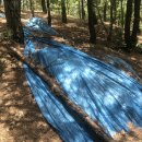 연경동 광해군태실 이미지