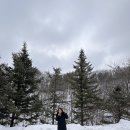 은상목장 | 강원도 평창 대관령 가볼만한곳 겨울 눈구경 삼양라운드힐