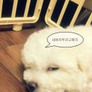 민혼수
