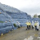 순천-11호 이미지