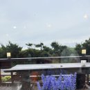 서귀포양식 쉐프1192레스토랑 제주도애견동반레스토랑