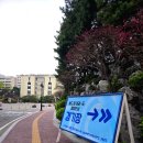 세계태권도도장 | 성인태권도 월드 원챔피언십 생활체육 품새대회 후기!! 서울강북성인태권도 알아보는 중이라면 여기어때~?