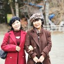 5060 카페 안전기원제 이미지