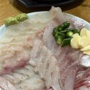 [대구 봉덕동 맛집] 노포 감성 가득한 가성비 최고 대구 남구 횟집 민지회수산 솔직 후기