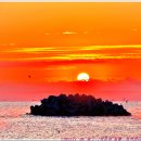 동백바다 이미지