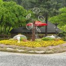 올림픽밸리 이미지