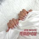 🎀장기동네일아트 추천💖 하르몽네일 솔직후기