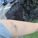 제주더썸플러스 풀빌라수산 | 9/10-12 제주여행(근데 워크숍을 곁들인,,)