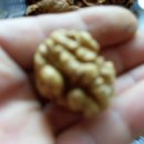 호두까기 이미지