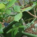 몽실농장 이미지