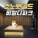 신퍼피클럽 동물병원 | 대형견도 함께 할 수 있는 비발디파크 소노펫 골드 애견 객실 후기