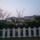 스테이독민박 이미지