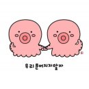 36.5체온다이어트 이미지