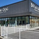 플레이독 파주본점 이미지