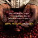 두터울 유통