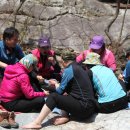 오대산서울 이미지