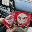 어화댕댕 이미지
