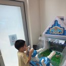 아름드리도서관 | [생후 5개월] +154~156일 육아일기👶 중이염 아름드리나무 어린이병원 특실 709호 입원 후기
