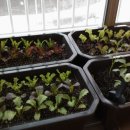 브래뉴농장 이미지