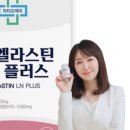 닥터오케이