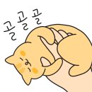 봉이네분식 - 태백시 장성1길 190 | 봉이네분식