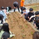 망경초등학교 이미지