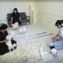 모네하우스 이미지