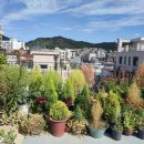 휴팩토리 이미지