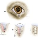 조앤박동물병원 이미지