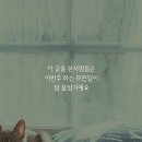 오빠 한번 더 이미지