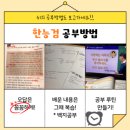 해블리 | 해블리 13기 후기!