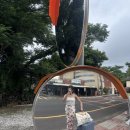 제주지인 게스트하우스 | [제주지인게스트하우스]진짜 나만 알고싶은 힐링 그 자체 게하 feat.유명해져..아니 유명해지지마..