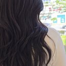 에비뉴1661 이미지