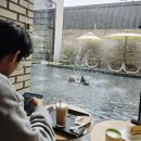 마실커피 하양점 | 하양카페 물멍 나무멍 디저트도 정말 다양한 대형카페 핸즈커피 하양점 냠냠후기