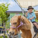 오세르키즈앤패밀리풀빌라 이미지