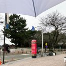 시골여행 | 경주 시골쌈밥 후기｜여행 중 든든하게 즐긴 한식 정식