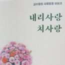 책명- 내리사랑 치사랑- 김정숙(소화 데레사) 교수 엮음(33인) 이미지