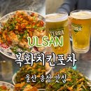 동네포차식당 | 울산 송정 맛집 복화치킨포차 재방문 후기