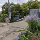 전상국「아베의 가족 이미지