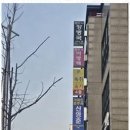 밝은법무사사무소 이미지