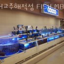 인어교주해적섬 FISH LOUNGE