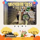 우리할매돼지국밥 이미지