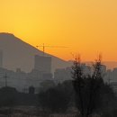 강변길따라 이미지