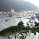 화천산천어가공 네이버블로그