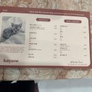 카야네일