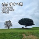 토리153 | 함안 당일치기 여행코스 추천 무진정 말이산고분군 함안박물관