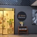 벌떼미인클럽 네이버블로그