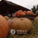 능원3리 이미지