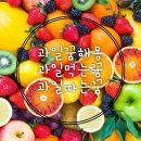 과일먹는날