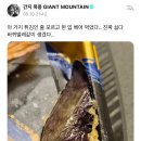 수퍼노바 이미지